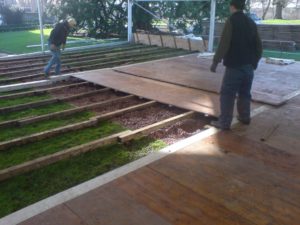 Ruth Longomo Flooring Ruth Longomo Flooring